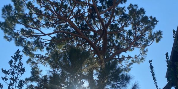 IMG_8763-12-04-21-10-16