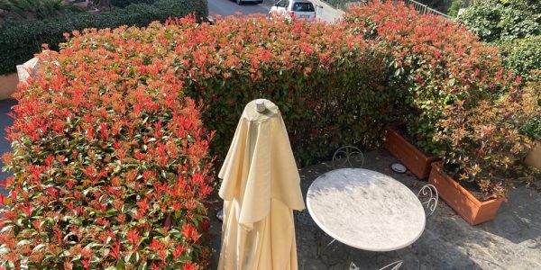 IMG_8995-12-04-21-10-17