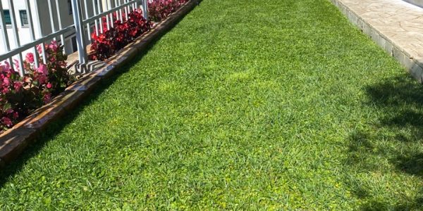 IMG_9271-12-04-21-10-17